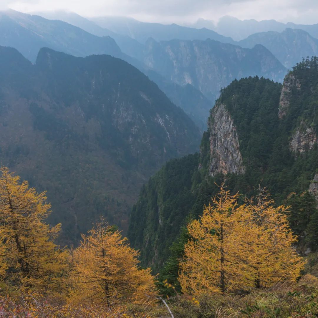 太白山是陕西最高点吗,秦岭最高峰太白山