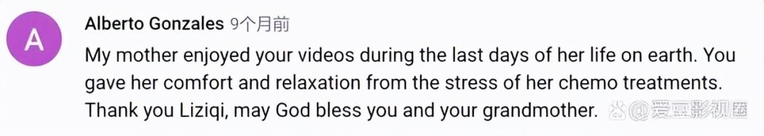 李子柒抖音收入,李子柒外网收益