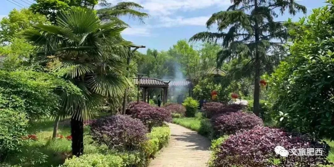 孩子们的快乐星球！周末带娃，肥西这些地方就够啦！