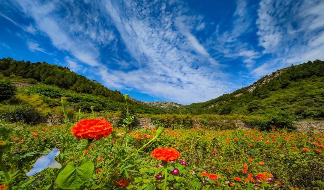 身份证号3703开头是哪里,身份证3703开头是哪里