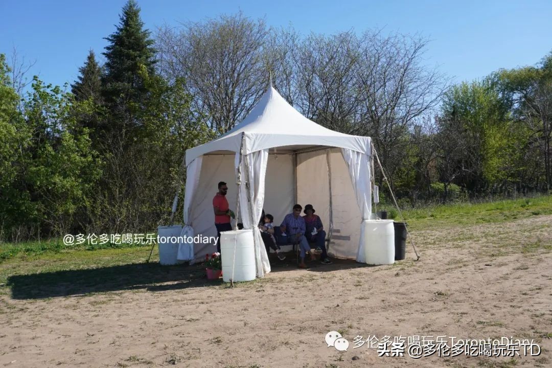 邂逅五彩斑斓的油菜花田,郁金香花田旅游攻略