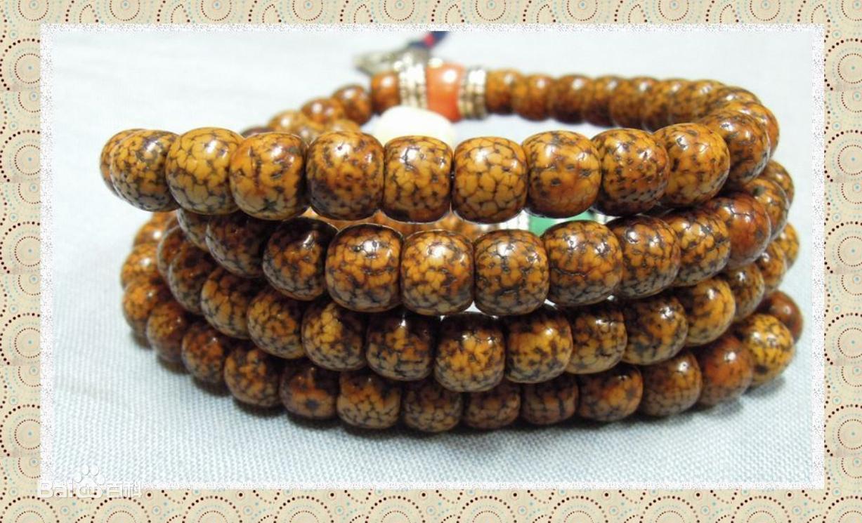 星月菩提子,星月菩提子怎么穿绳