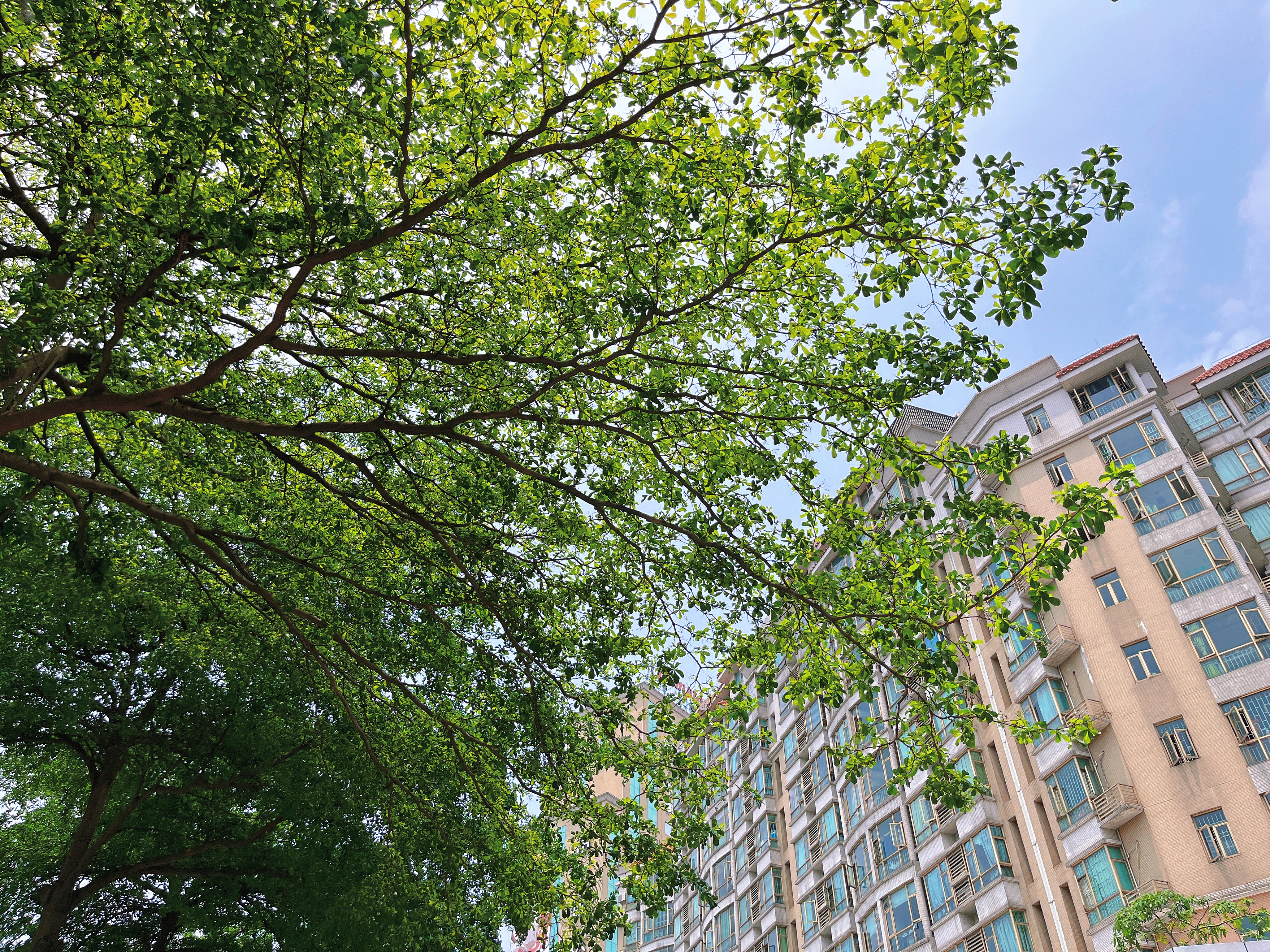 和朋友创业搞抖音,普通人都能来抖音直播带货赚收入