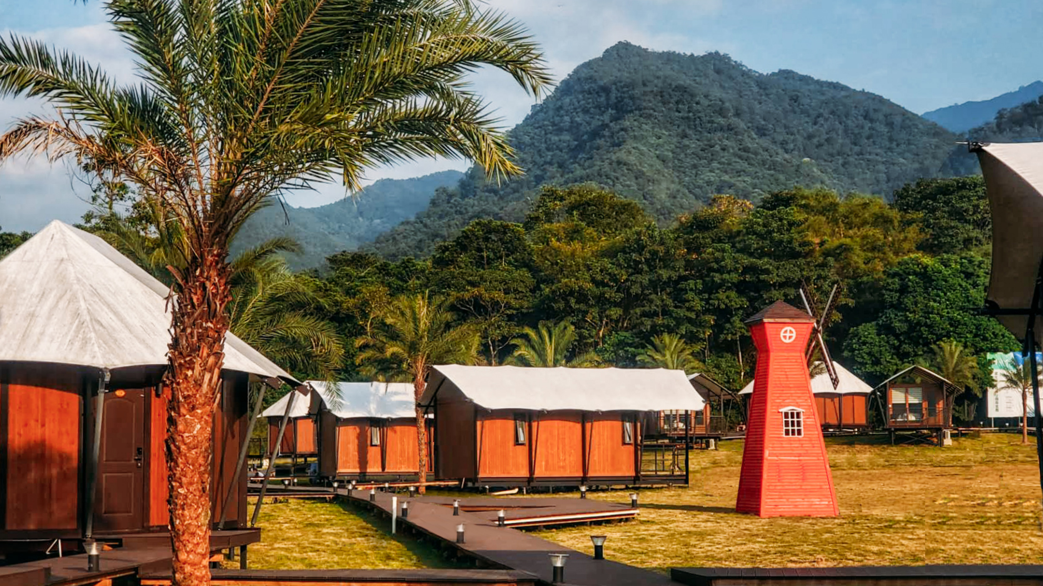 惠州赏梅花地方,惠州惠东梁化镇梅园