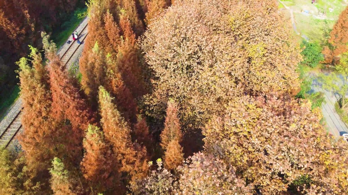 成都周边游最佳景点街子古镇,都江堰附近的旅游景点推荐