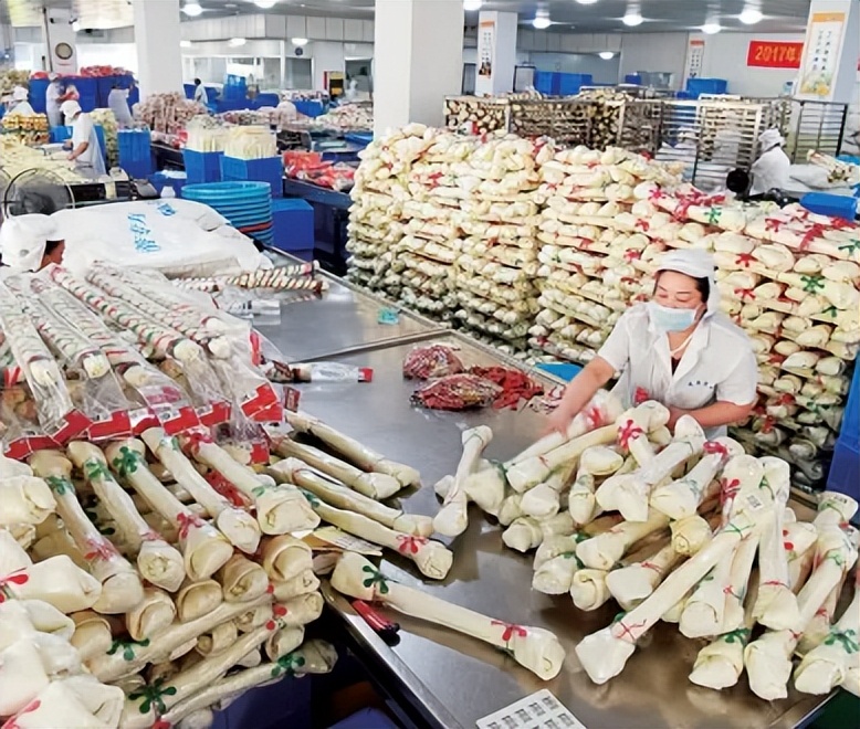 宠物成黄金赛道，遛狗绳一年赚6亿，温州姐弟把狗生意做上市