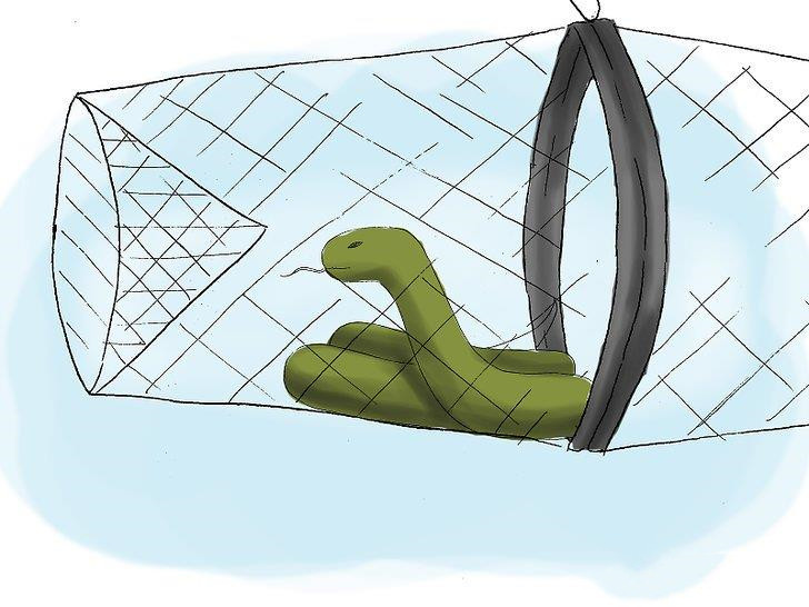 一男子发现蛇窝,挖蛇窝发现30条蛇