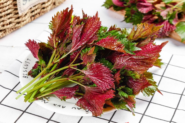 四月二十八药王诞，老人说“药王诞用3草，平安也安康”，3草指啥