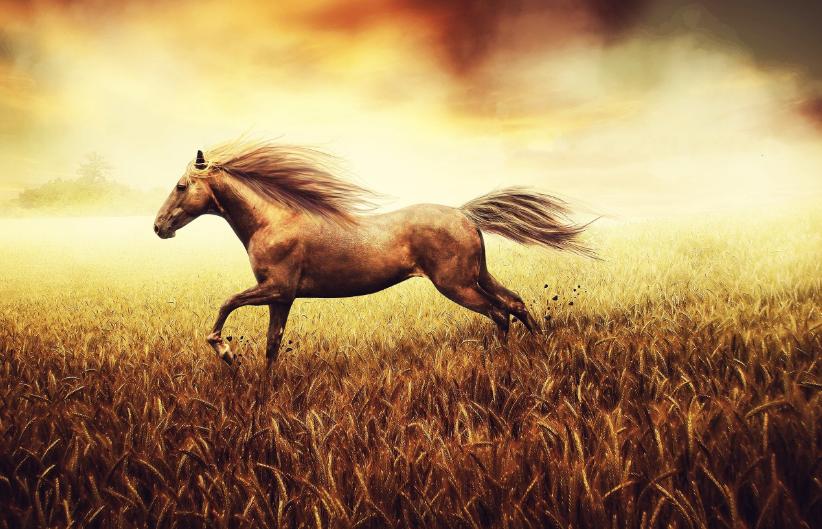 被辜负的诗句,辜负人生的诗词