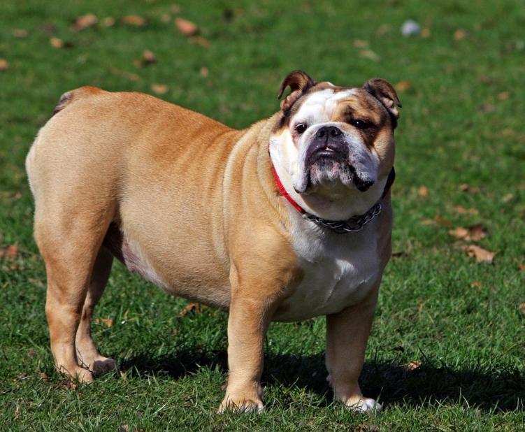 美国黑老大监狱“后宫”:女警投怀送抱,为他生5娃,每月收1.6万