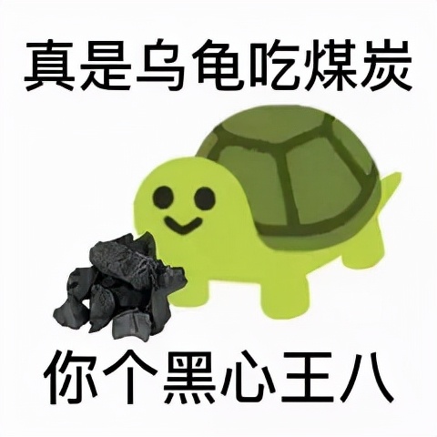 北约制裁俄罗斯的猫,俄罗斯的猫被制裁了是怎么回事