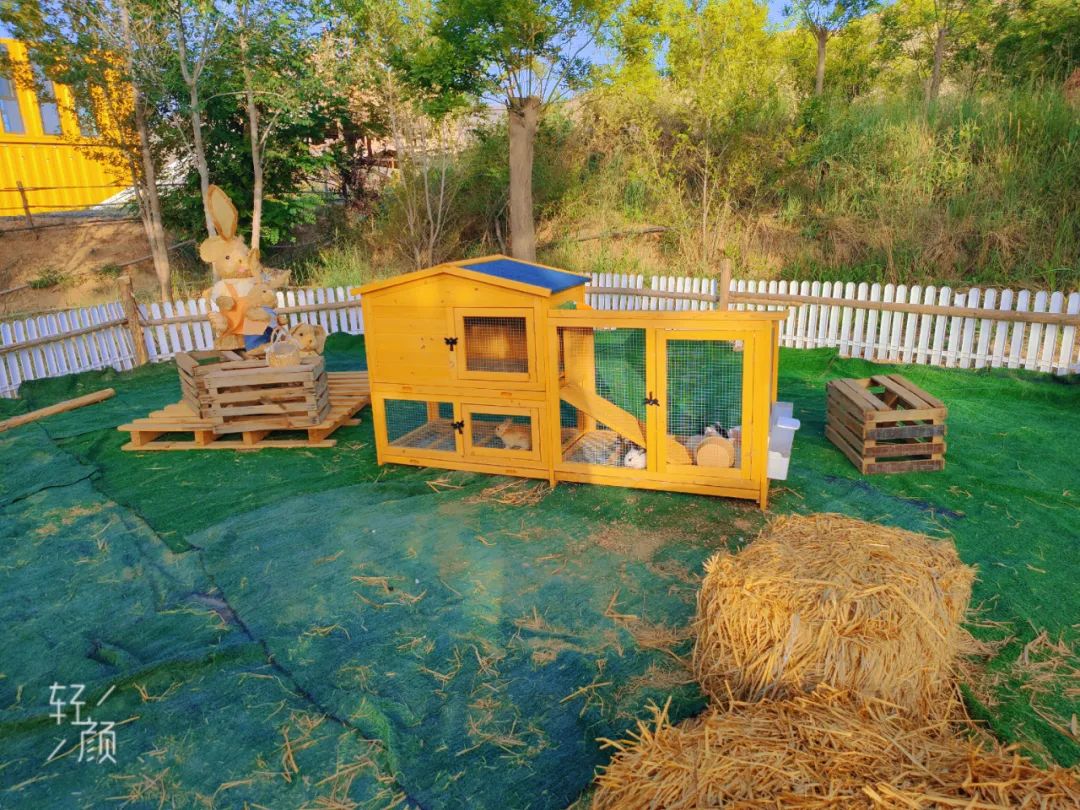 永靖盐锅峡小茨村规划,甘肃永靖盐锅峡小茨村木栈道