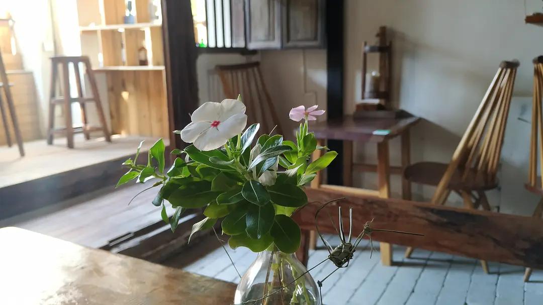 我是旅居三亚的姑娘，最终仓惶逃回深圳了