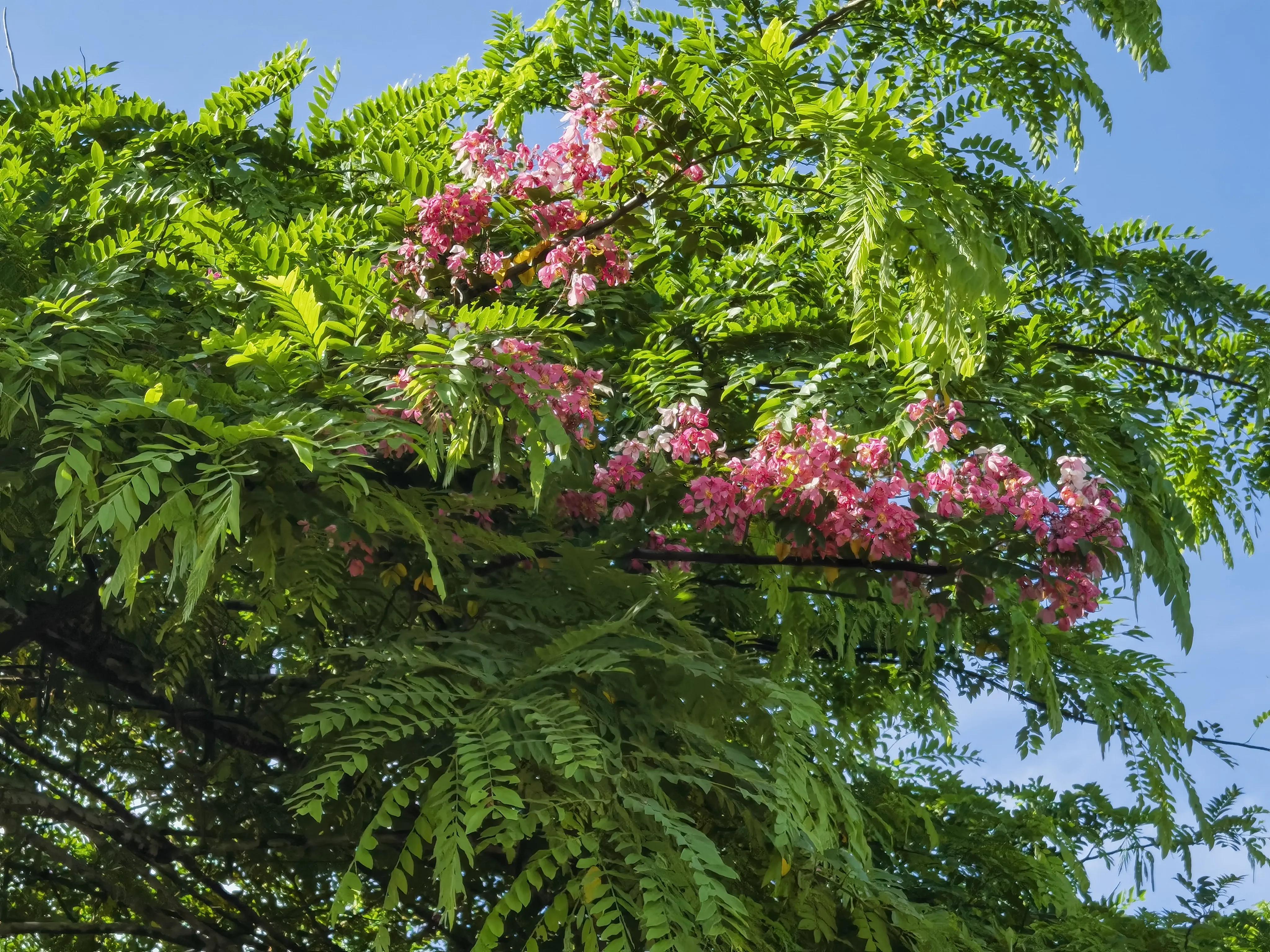 端午节过节费领取表,端午过节给父母多少过节费
