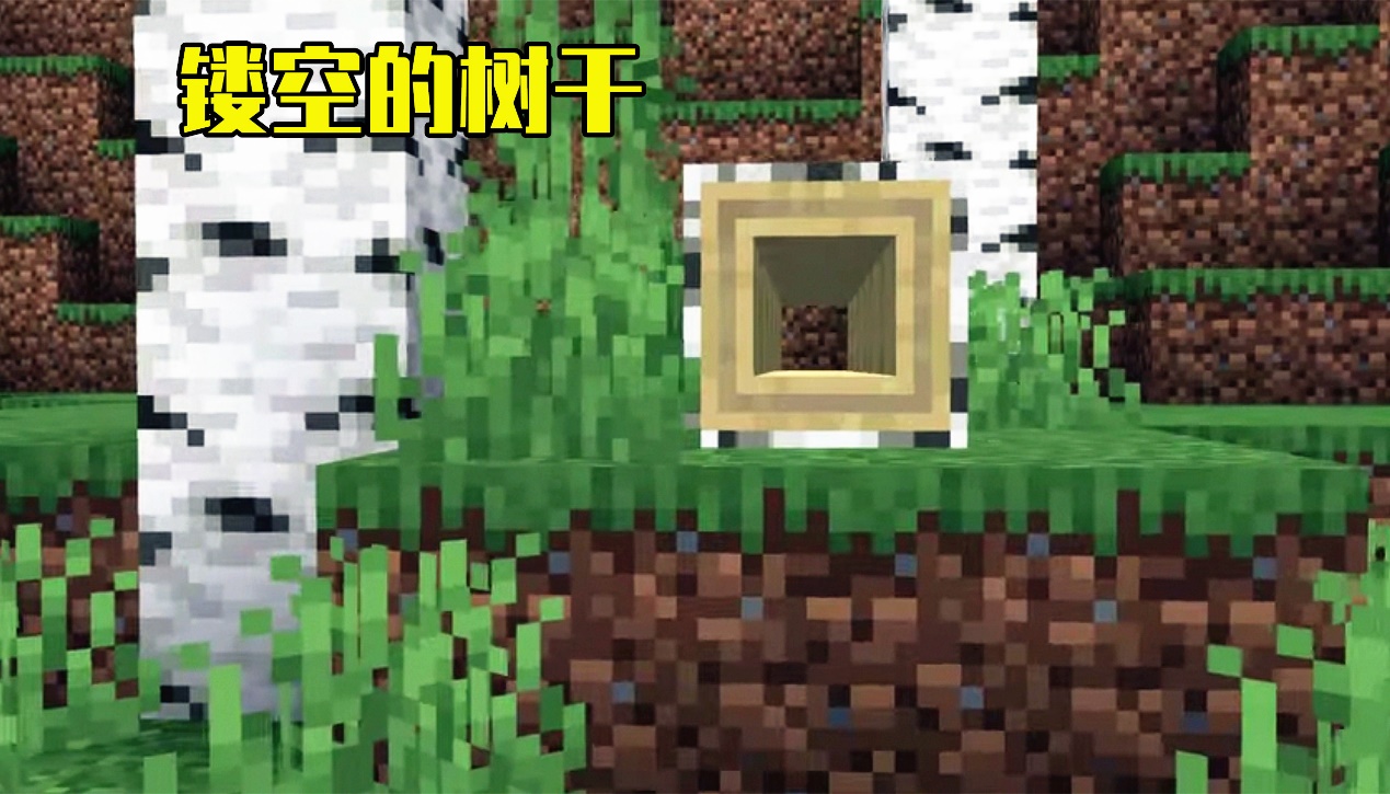 我的世界白桦森林,我的世界游戏原始森林攻略