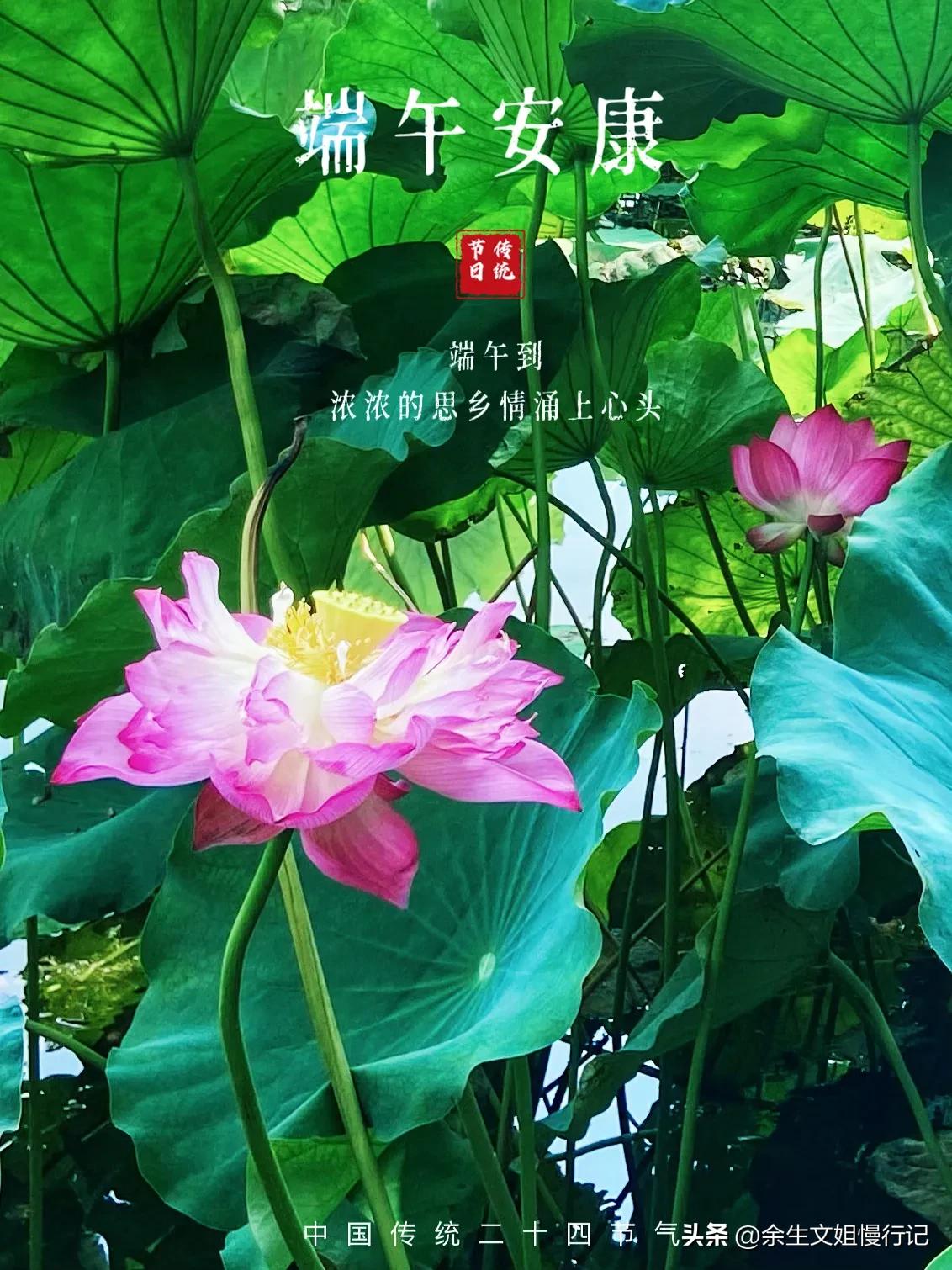 端午节的起源和演变手抄报,端午节的起源和哪个人物无关