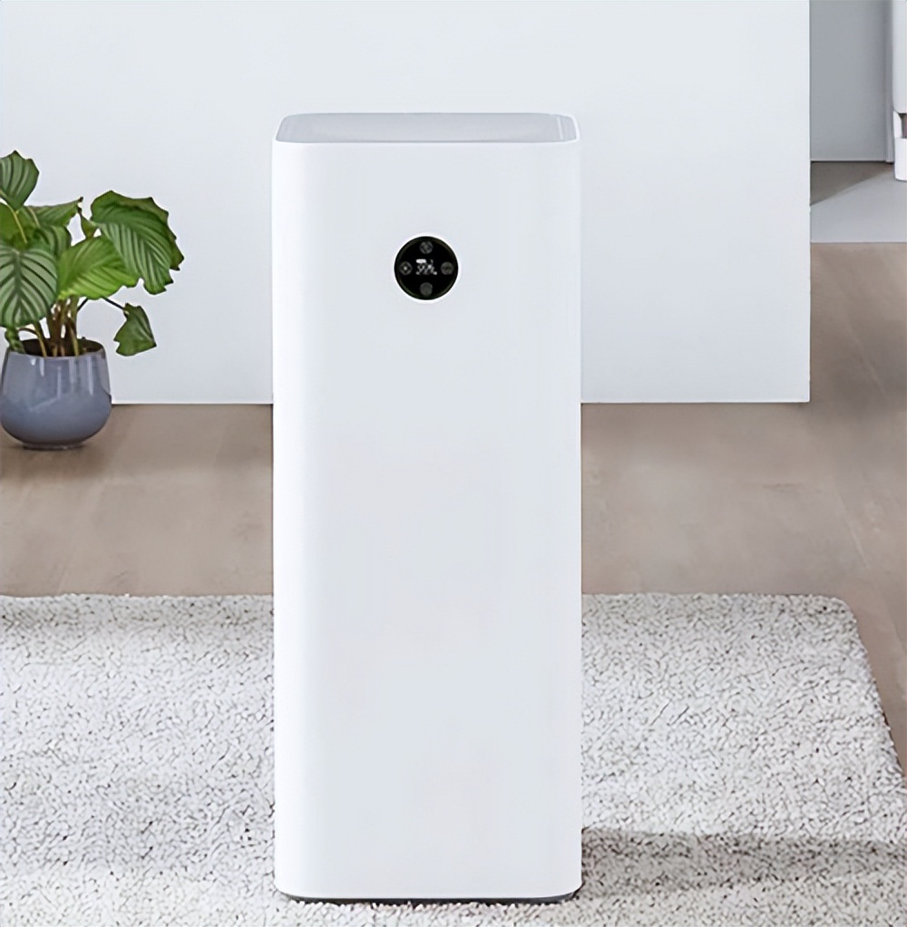 装修后室内放什么花帮助去除甲醛,装修房子放什么植物可以去除甲醛