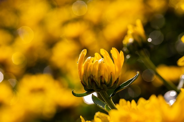 如何做好微商营销推广,怎么做微商的运营推广