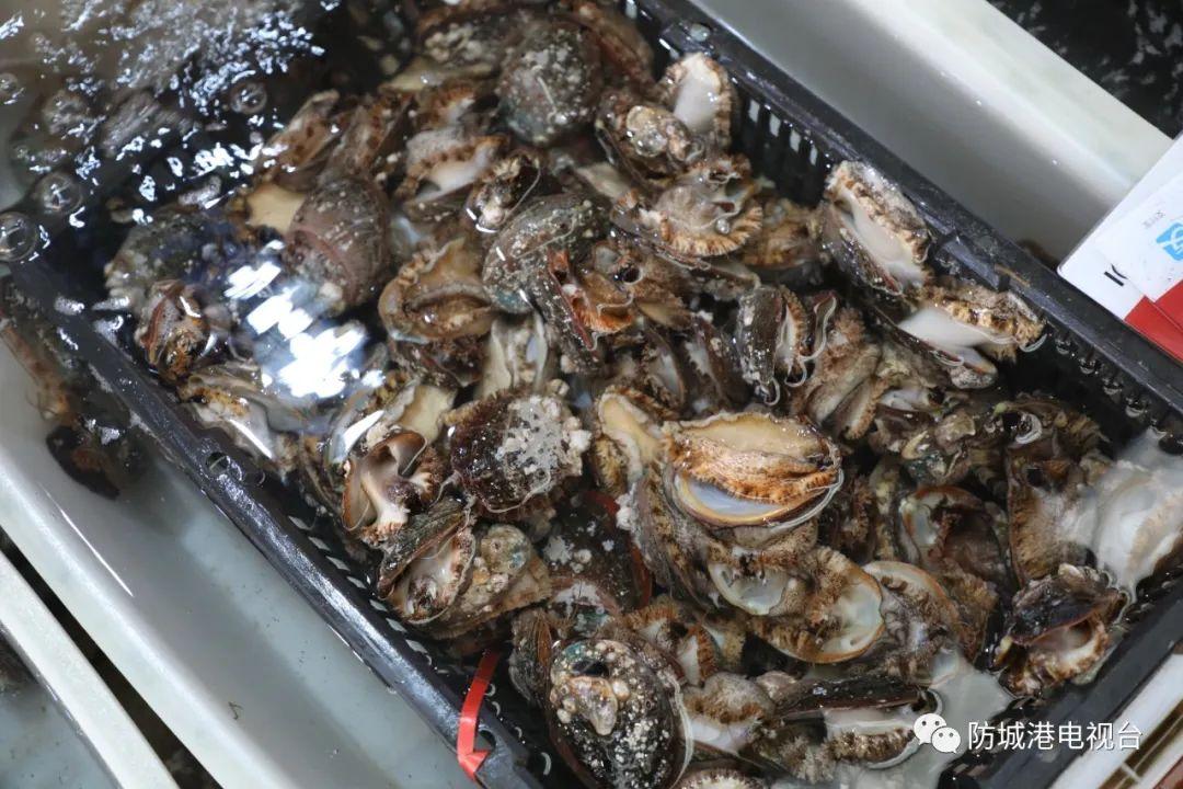 开海了一大波肥美海鲜上岸,开海去哪买海鲜