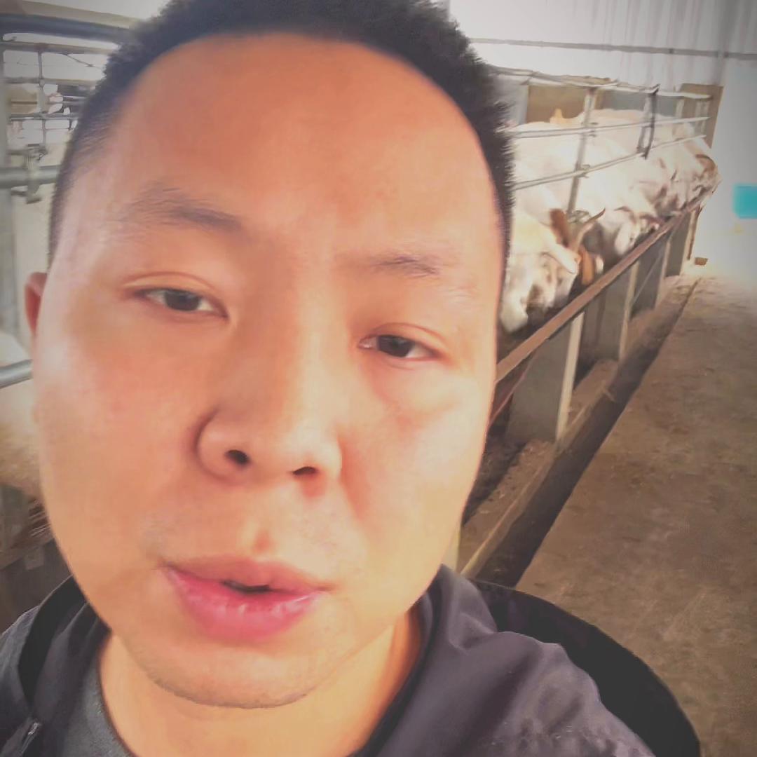 东北农村养殖创业好项目,农村创业怎样养殖蜈蚣