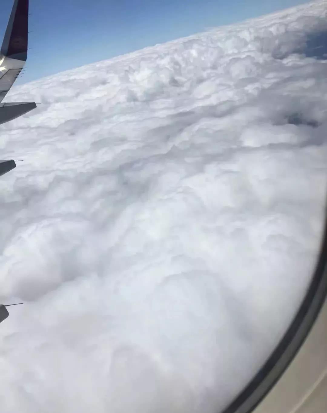 男朋友怎么拒绝异性表白,男朋友如何拒绝前任