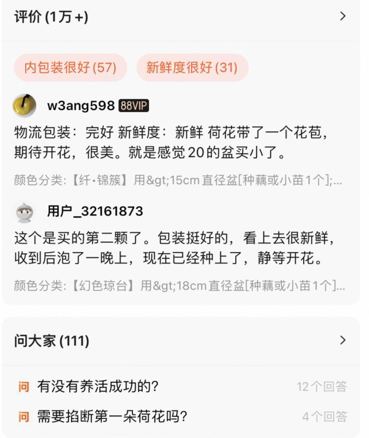 淘宝做私域流量,年入百万养猫人