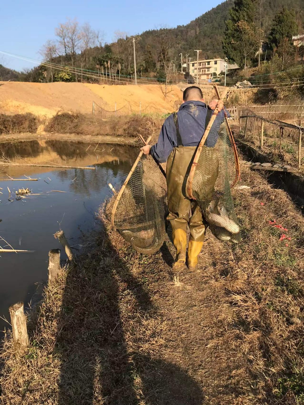 冬日捕鱼现场,冬日捕鱼卢龙县