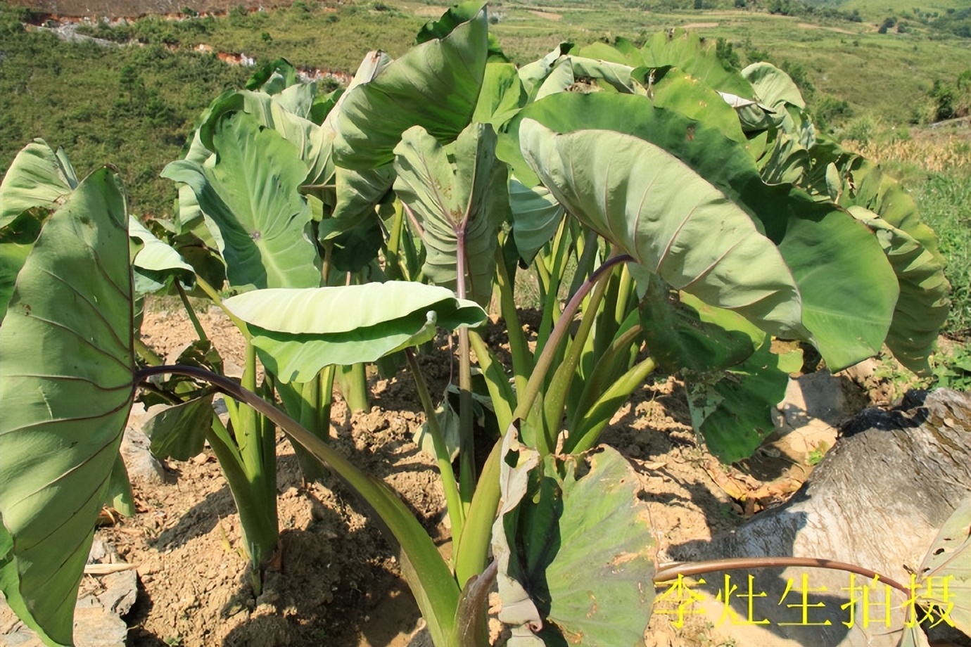 郴乐古道之水头江宜乐古道--广东省乐昌市庆云镇