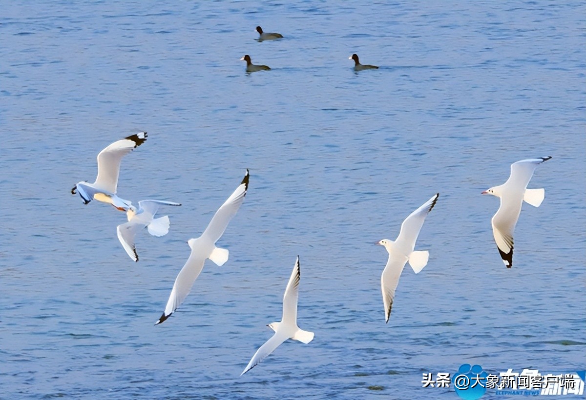 河南省黄河迎宾馆雪景,洛阳春来花似锦