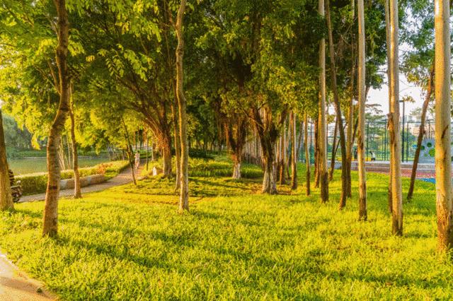 体育公园内篮球场怎么收费,体育公园露天篮球场收费合理吗