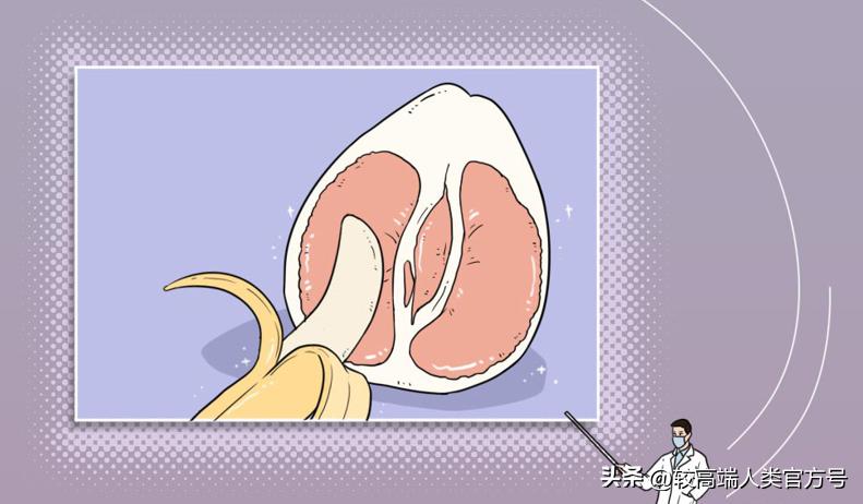 哪些生活用品容易成为智商税,空气净化器是不是智商税产品