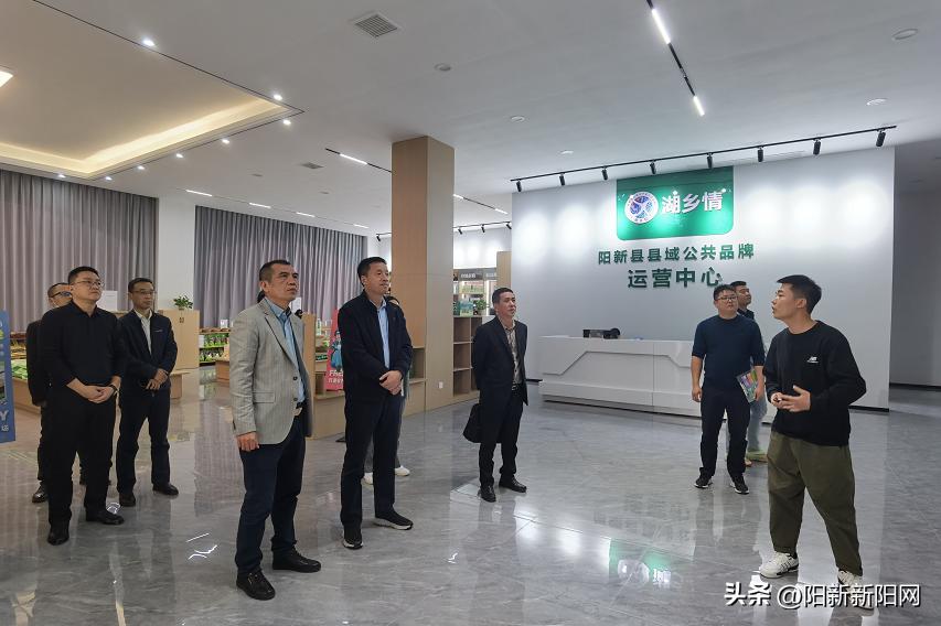 阳新新闻万鼎调研农村电商工作,阳新县委万鼎