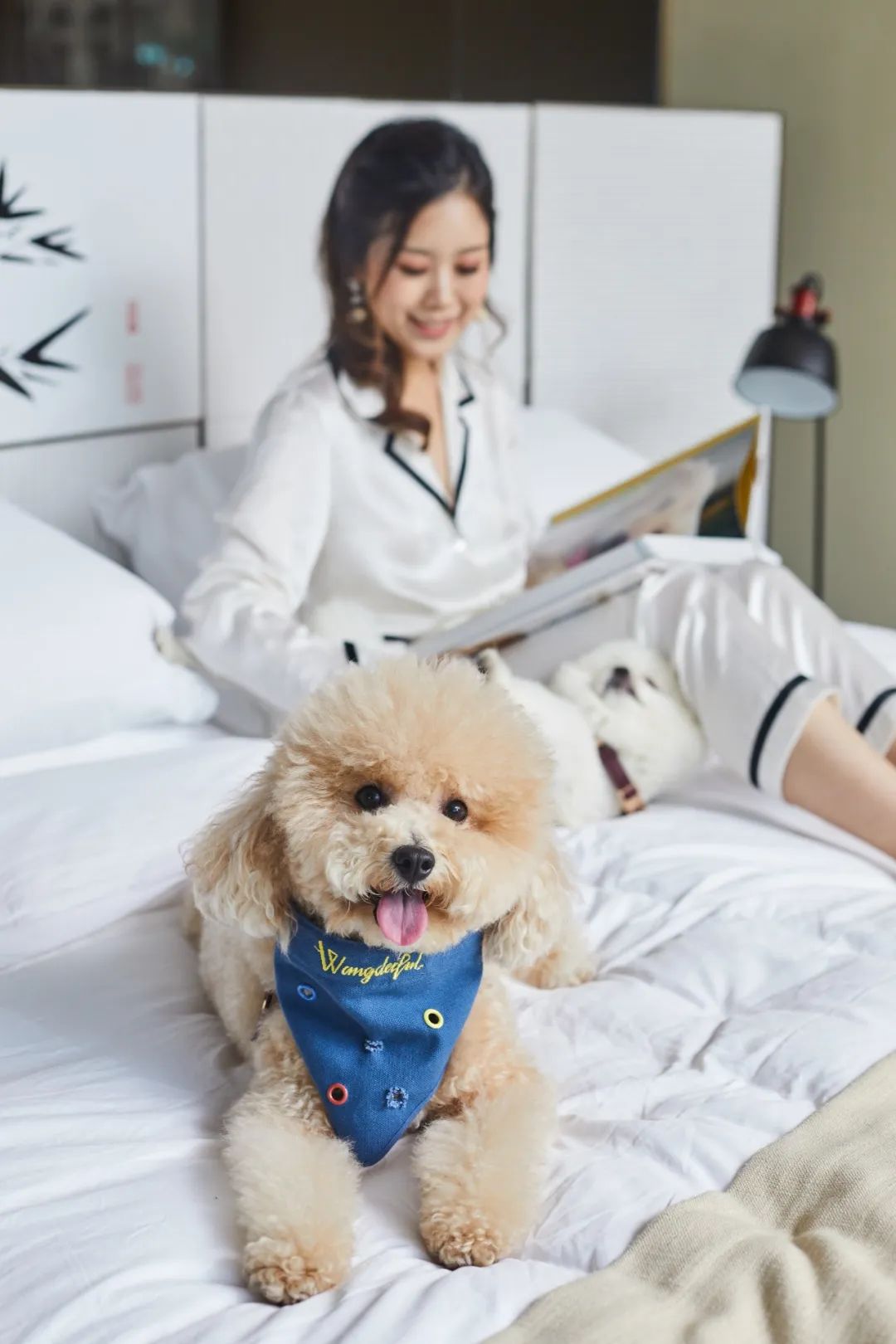 魔都宠物天地,魔都周边宠物友好景区