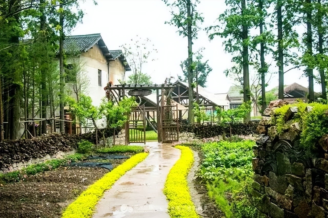 乌村一日游路线,乌村观光游是什么