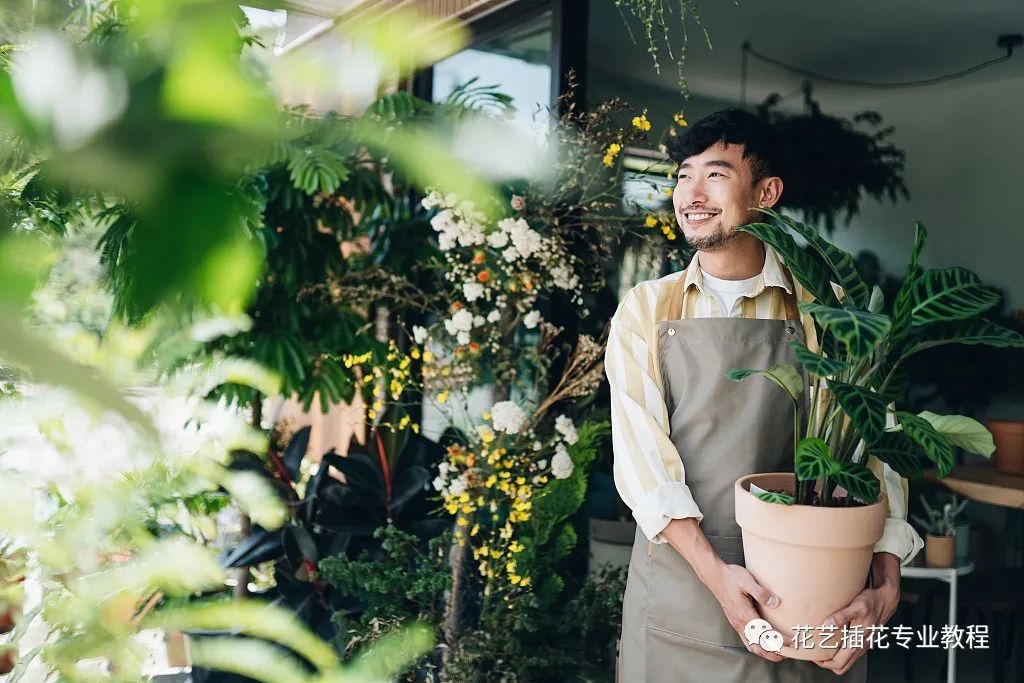开一家鲜花店经营技巧,开一家鲜花店要注意哪些