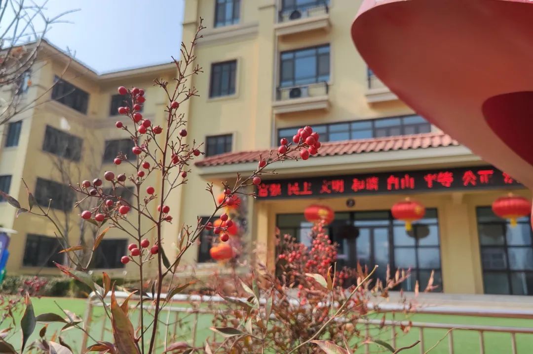 诗词里的校园,春日校园美景诗句