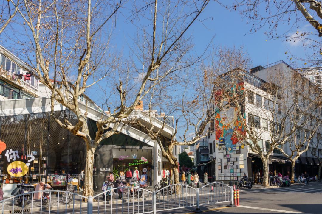 魔都宠物天地,魔都周边宠物友好景区