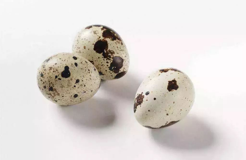 韩国东星小黑瓶祛斑霜，​韩国东星制药60年口碑企业出品！