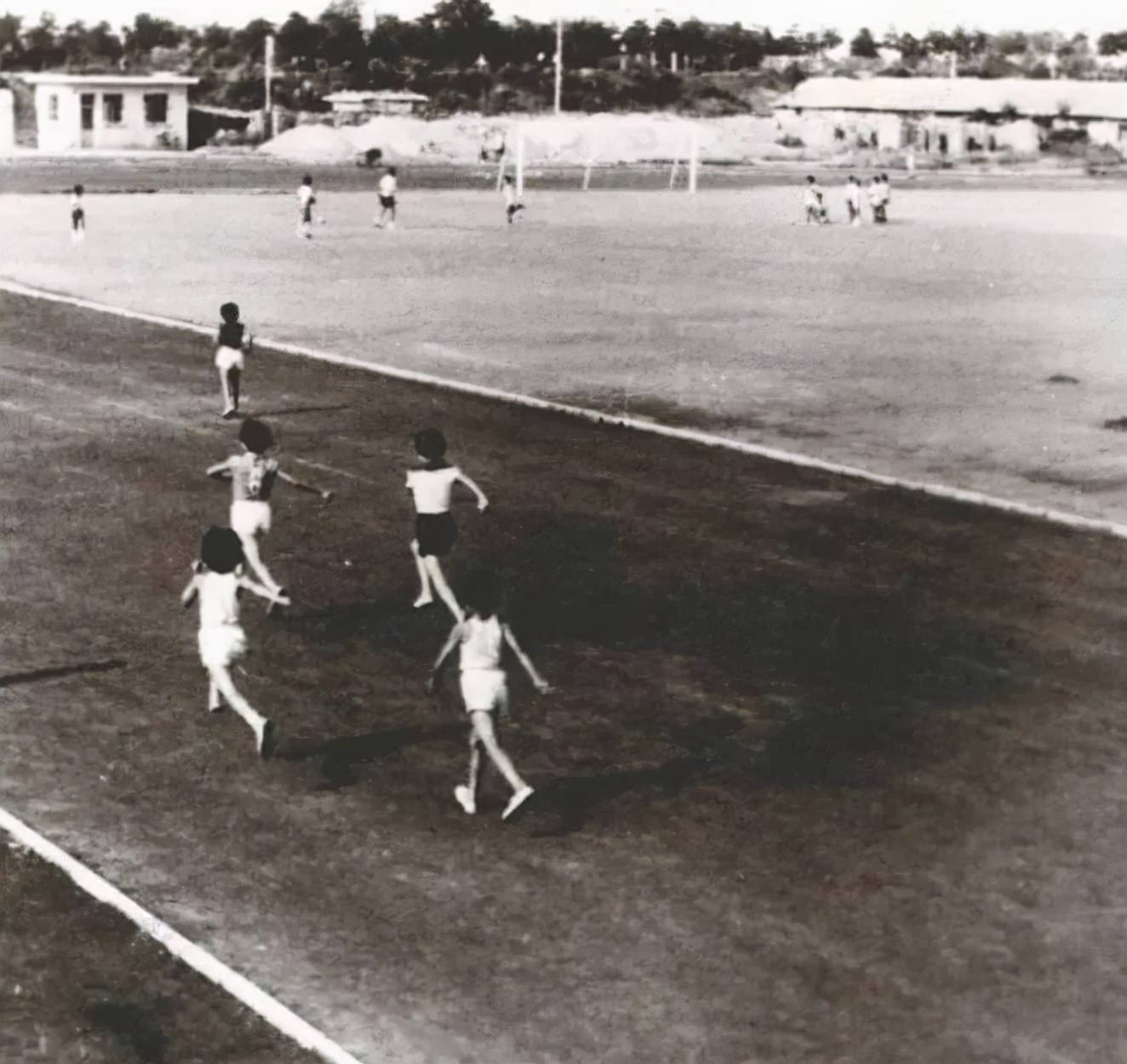 许昌市一高名人,许昌三高明星