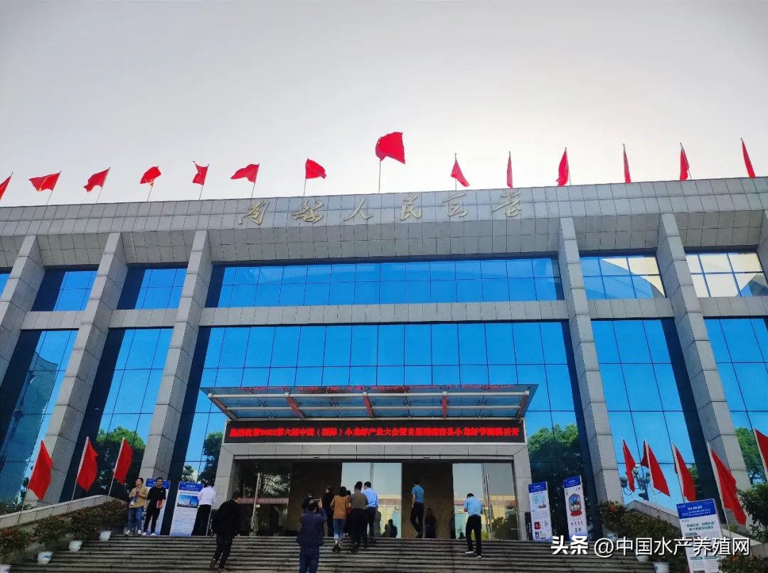 2023年南县小龙虾价格行情,南县小龙虾价格报价