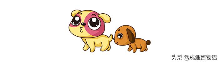 狗狗在沙发上乱尿怎么办啊,狗狗在沙发上拉尿怎么办