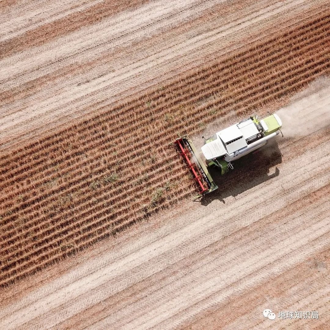 承诺上台就跟中国建交，靠谱么|地球知识局