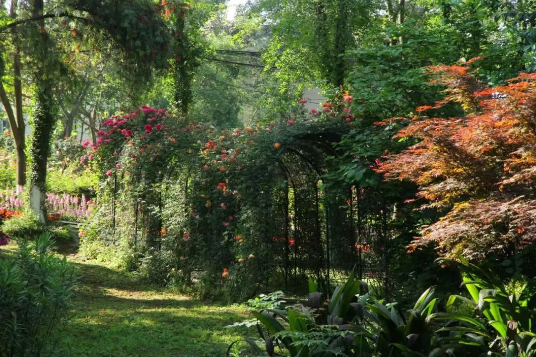 成都周边两天徒步推荐,成都周边徒步耍水一日游