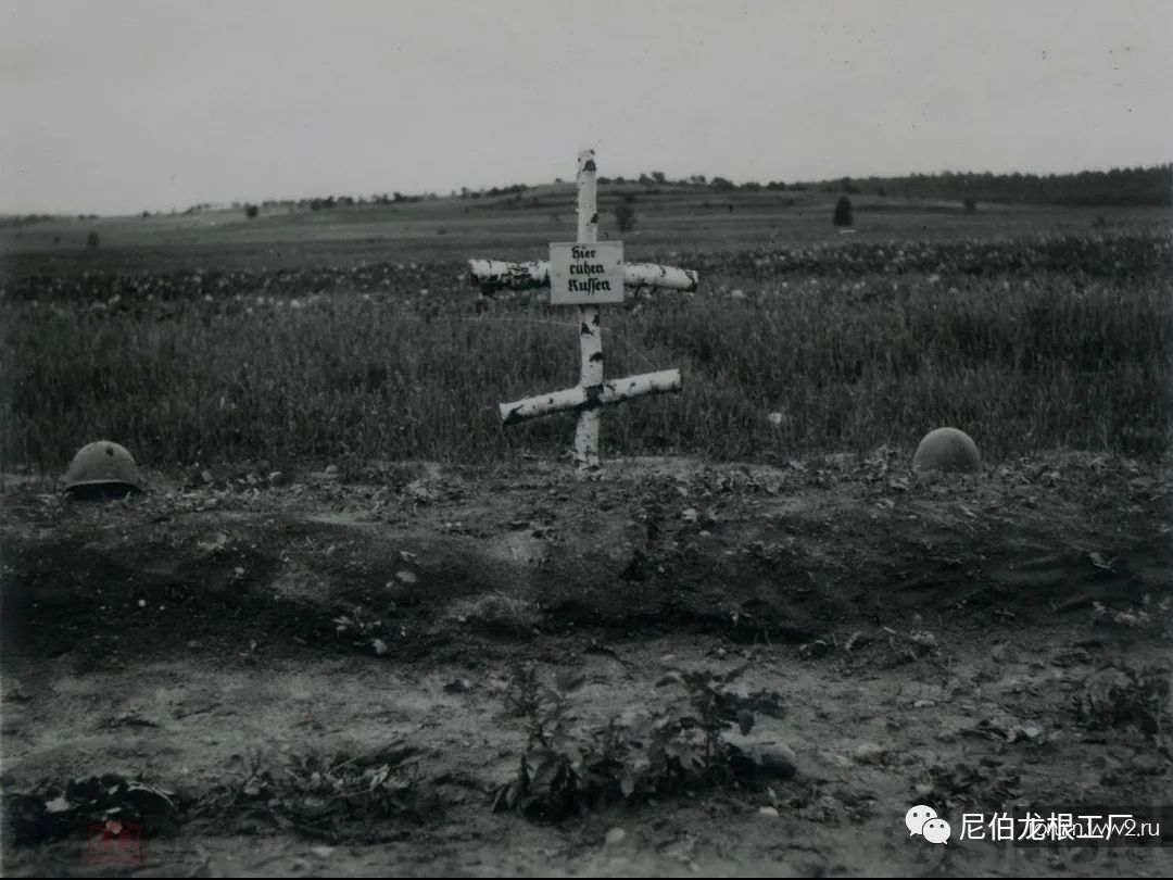 好收吾骨瘴江边全诗,好收吾骨瘴江边翻译