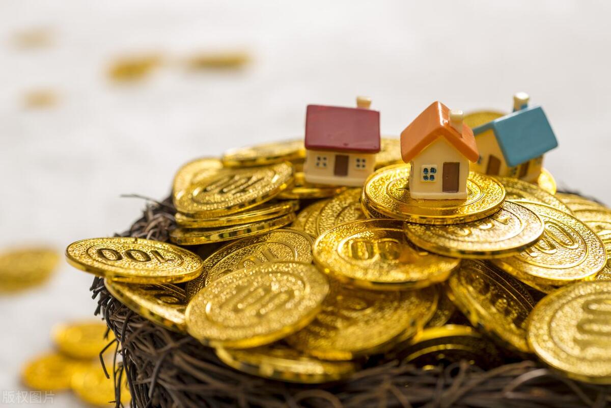 工程项目融资案例,项目融资