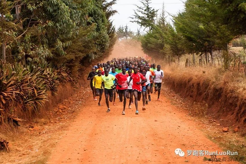 听雅尼夜莺有感,听雅尼经典音乐感想