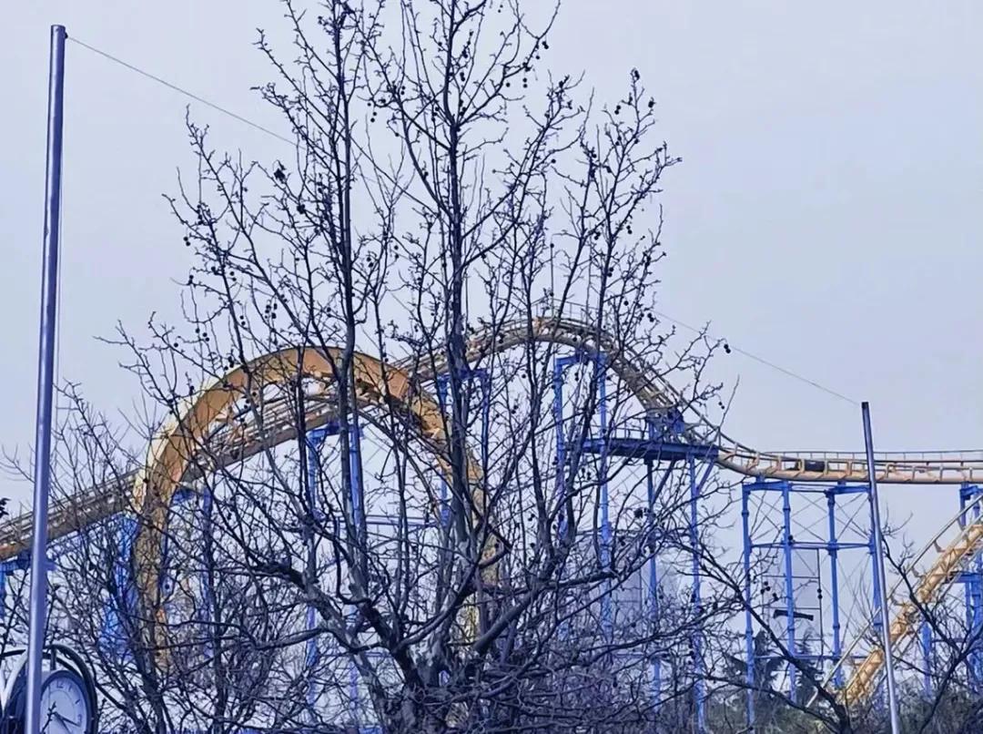 烟台南山公园游乐场怎么关了,烟台南山公园游乐场新项目