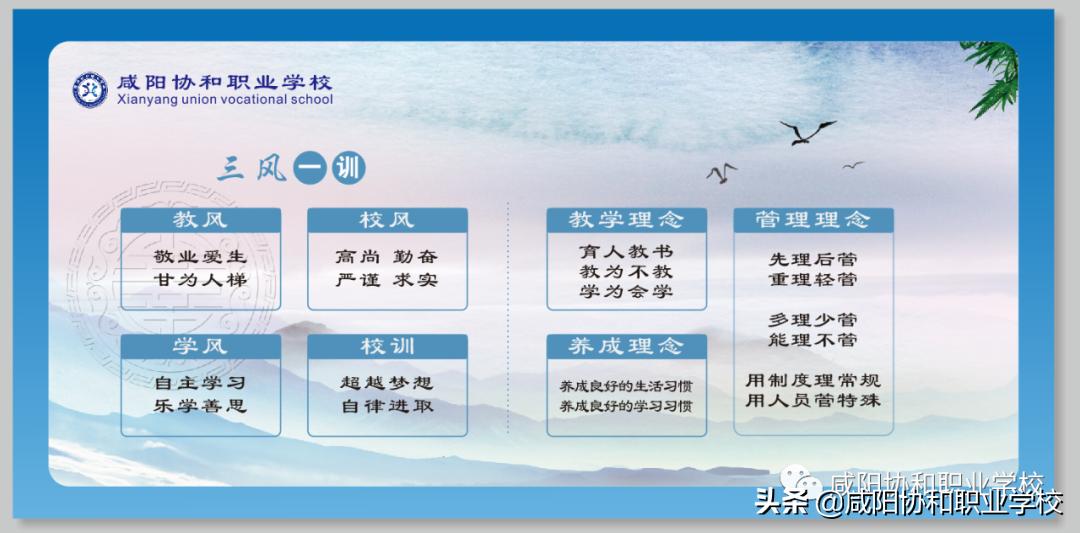 选择协和的“10大理由”