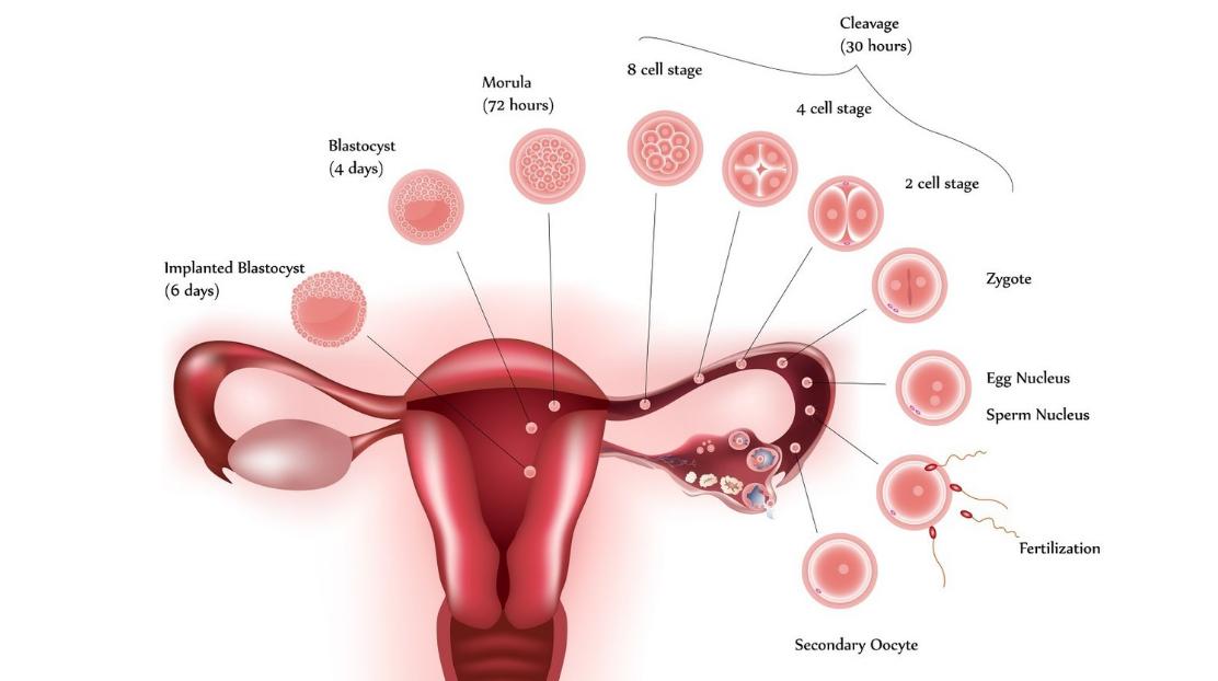 女人对什么事都不感兴趣,女生对哪种事提不起兴趣