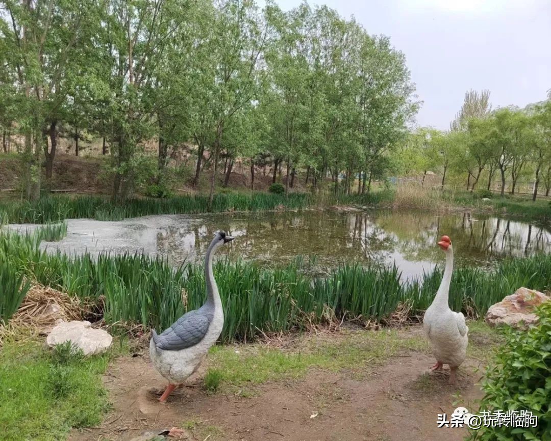 春游汲滩,春游绿博园